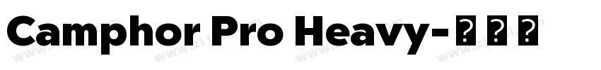 Camphor Pro Heavy字体转换